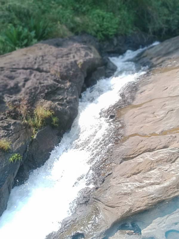 Aanakkal chami rock - Image 1