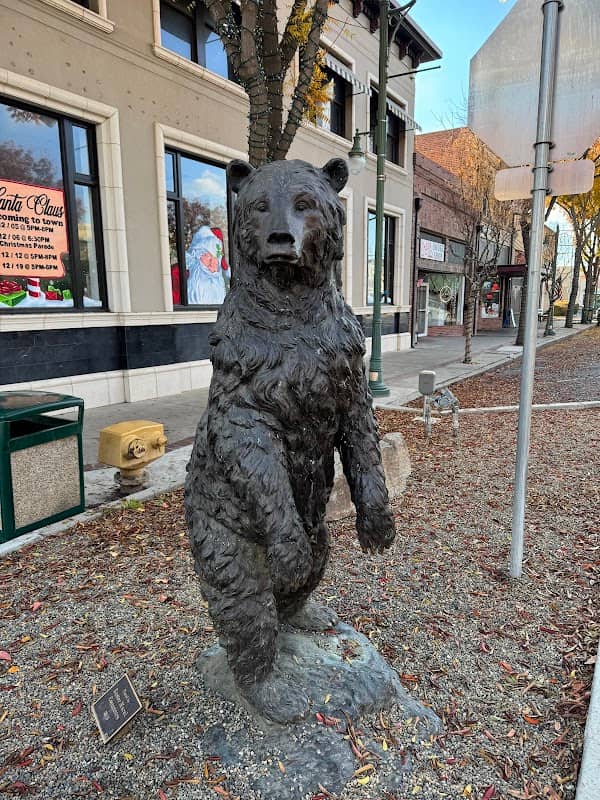 Statue - Exeter Bear Statue - Image 1