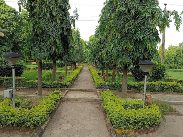 CSPGCL Garden - Image 1