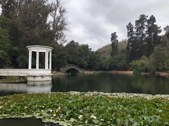 Viña del Mar National Botanical Garden - Image 1