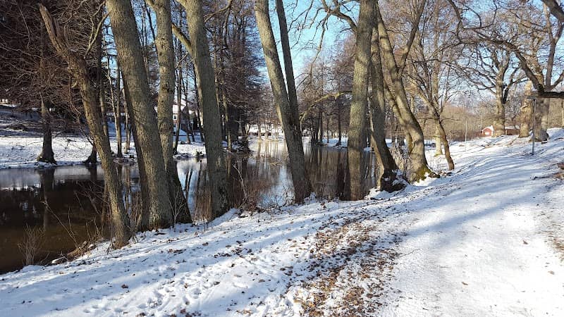 Slussbrovägens Trädgård - Image 1
