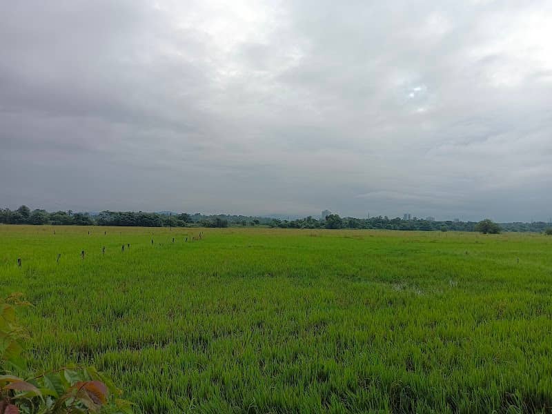 Puzhakal padam - Image 1