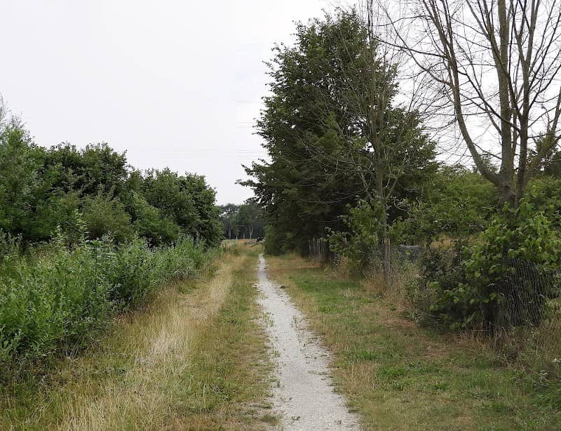 Losloopveld Honden - Image 1