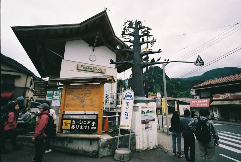森と泉と生命の木 - Image 2