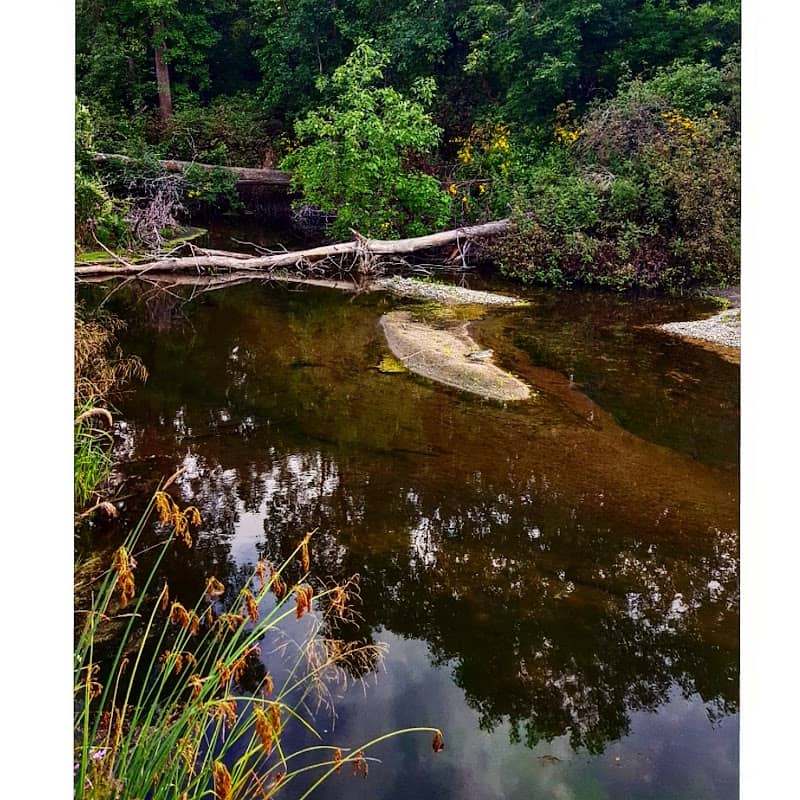 Grunthal Centennial Park - Image 1