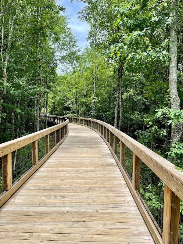The Walk at Sandy Run - Image 2
