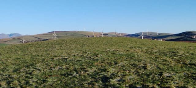 High Haume Beacon Trig Point - Image 1