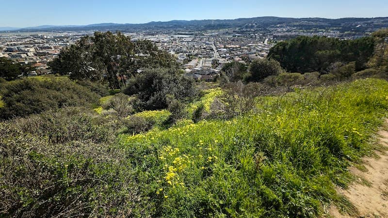 Sign Hill Park - Image 1