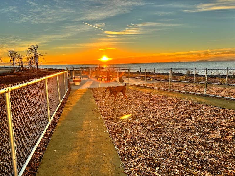 Oyster Point Dog Park - Image 1