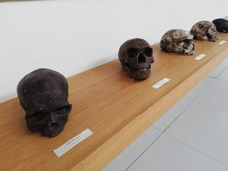 Museo della Preistoria di Nardò - Image 1