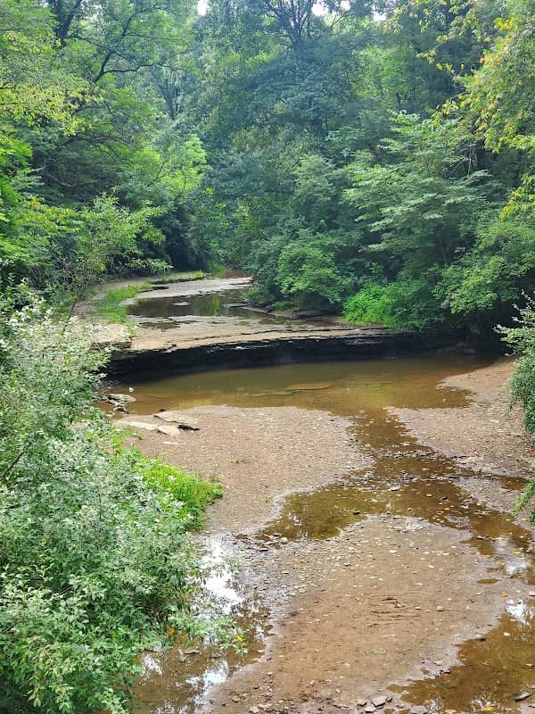 Angel Falls Trail - Image 3