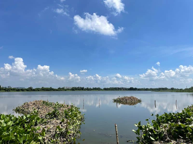 Wetlands of East Kolkata - Image 1
