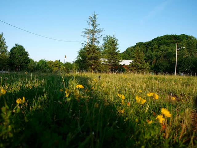 Mohawk To Fort Herkimer Bike Path - Image 2