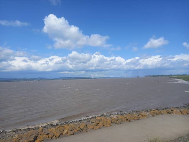 Severn Beach Conservation Nature Reserve - Image 2