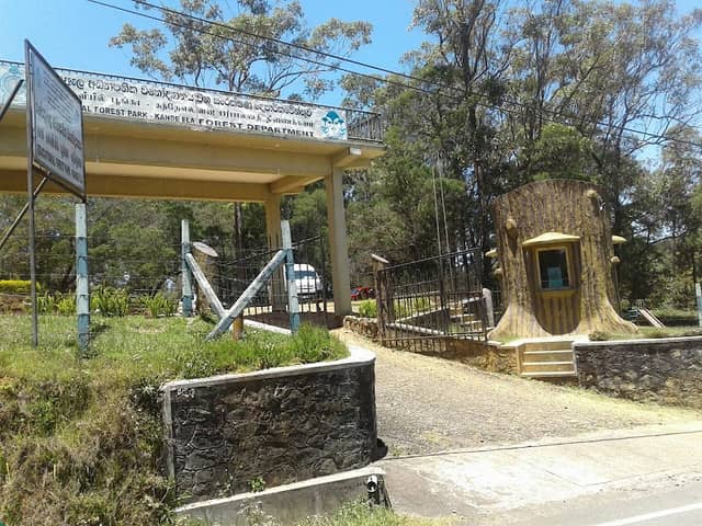 Kande Ela Educational Forest Park - Image 2