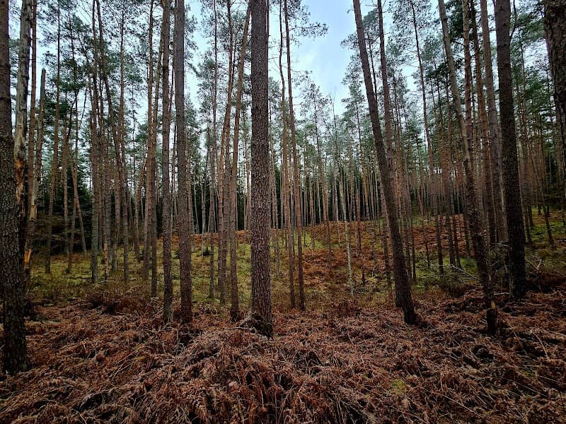 Vilkų duobė - Image 1