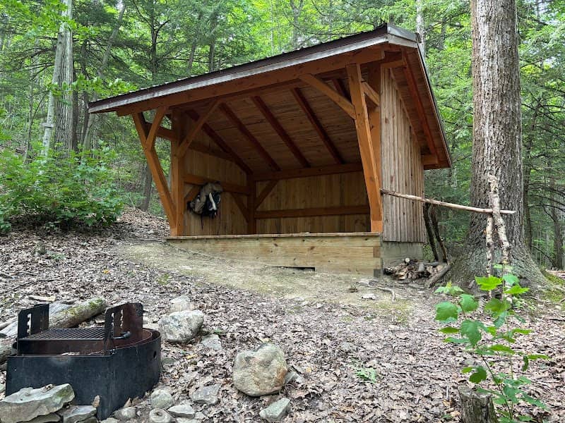 Finger Lakes Trail- Kanakadea Lean-to(NEW) - Image 1