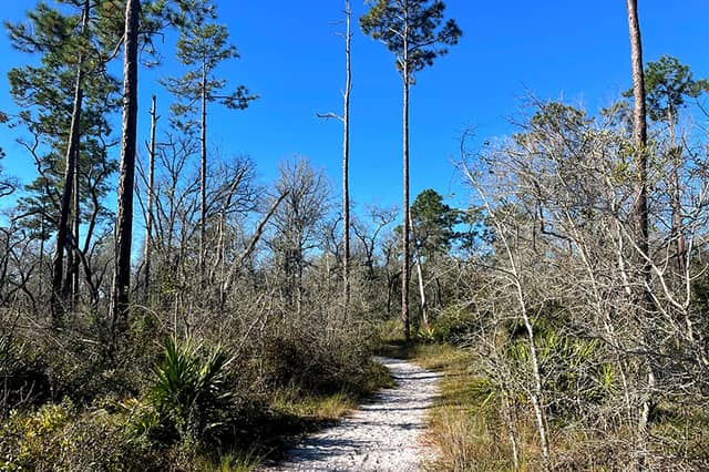Black Creek Ravines Trailhead - Image 2