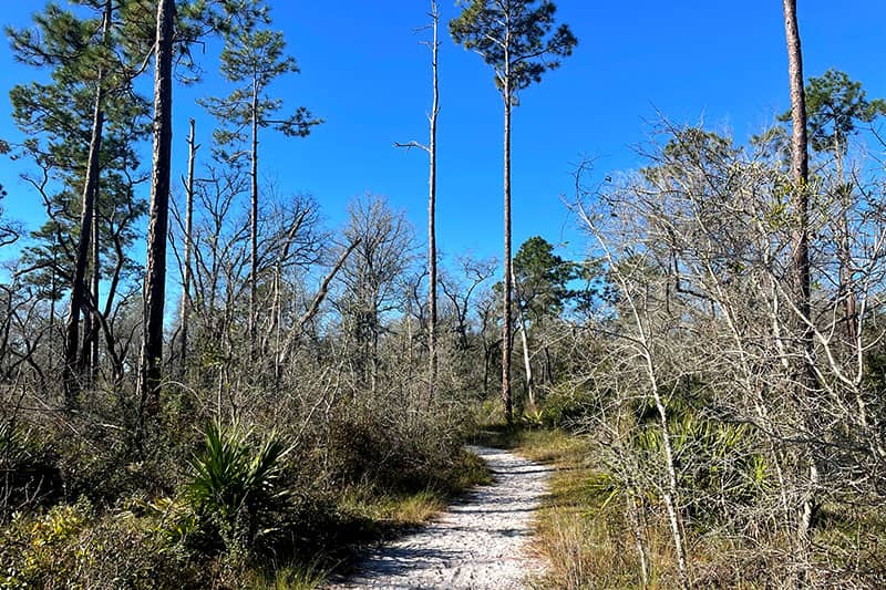 Black Creek Ravines Trailhead - Image 2
