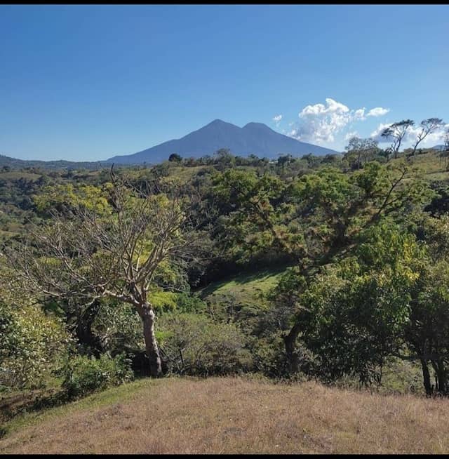 Los Chorritos - Image 1