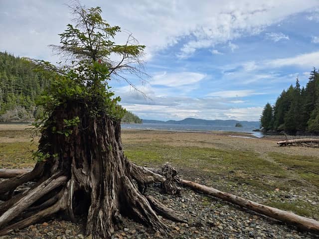 Bauza Cove - Image 2