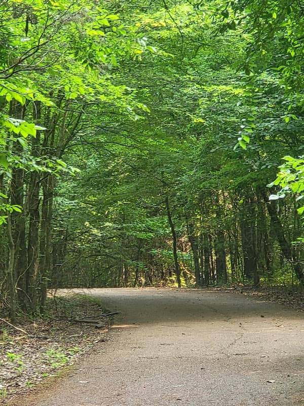 Lee's Summit Park - Image 2