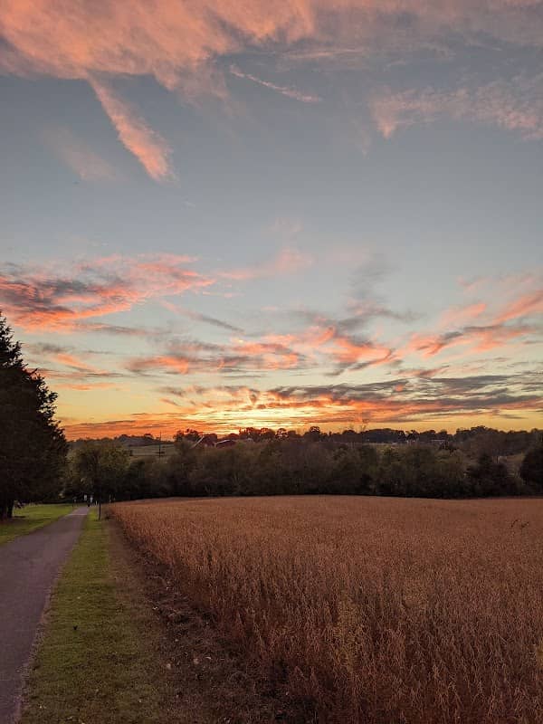 Tusculum Linear Park Walking and Biking Trail - Image 1