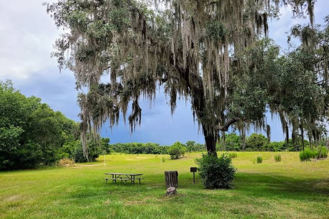 Withlapopka Community Park - Image 1