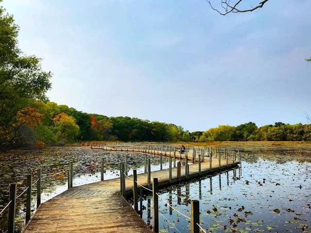 Maplewood Nature Center - Image 3