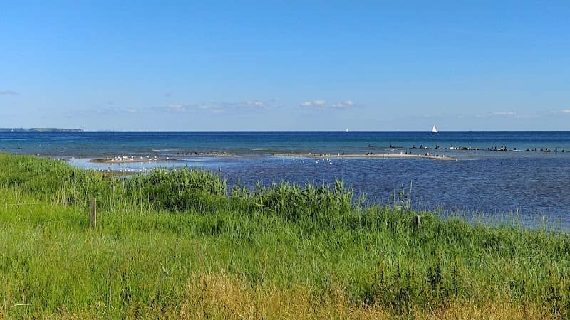 Nivå Bugt Strandenge - Image 2