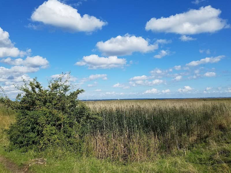 Nivå Bugt Strandenge - Image 1