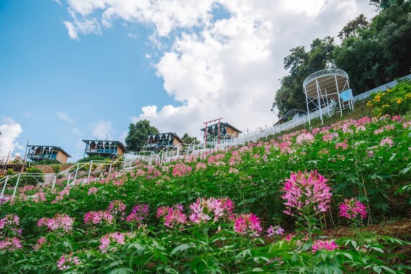 ไร่ เหมือนฟ้า Flower. - Image 1