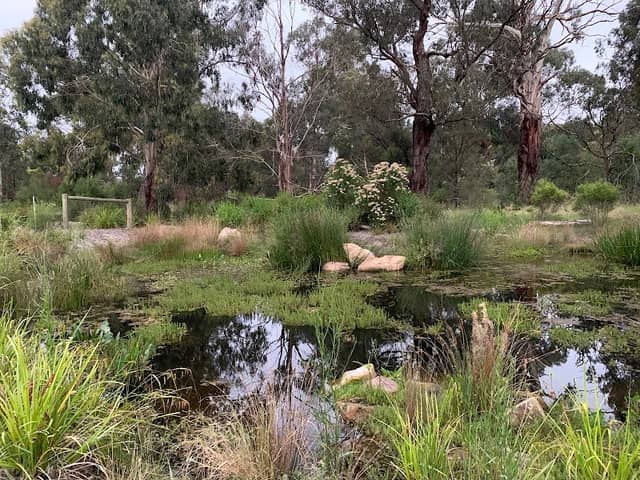 Yarrabing Wetlands Reserve - Image 1