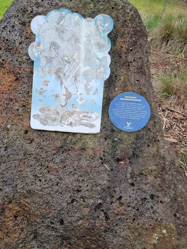 Yarrabing Wetlands Reserve - Image 2