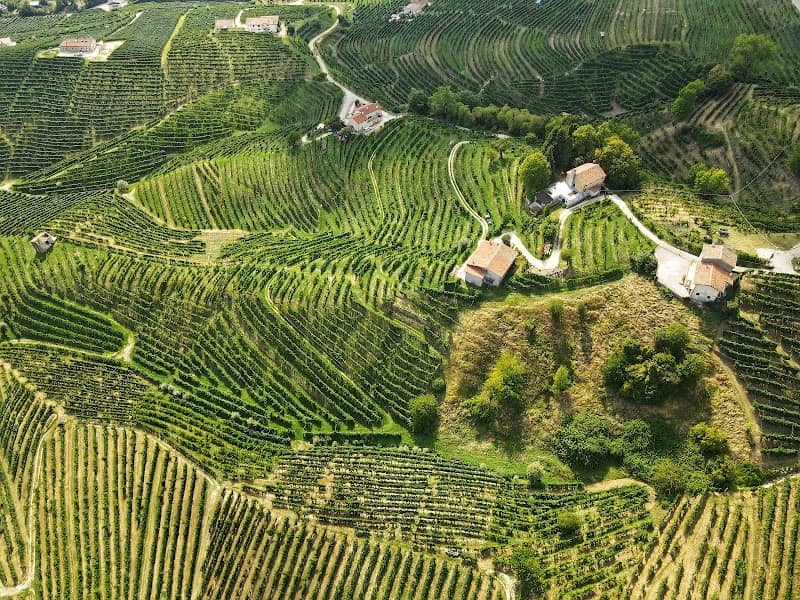 Colline del Prosecco di Valdobbiadene e Conegliano - Image 1