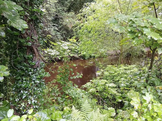 Springvale Mini Waterfall - Image 1