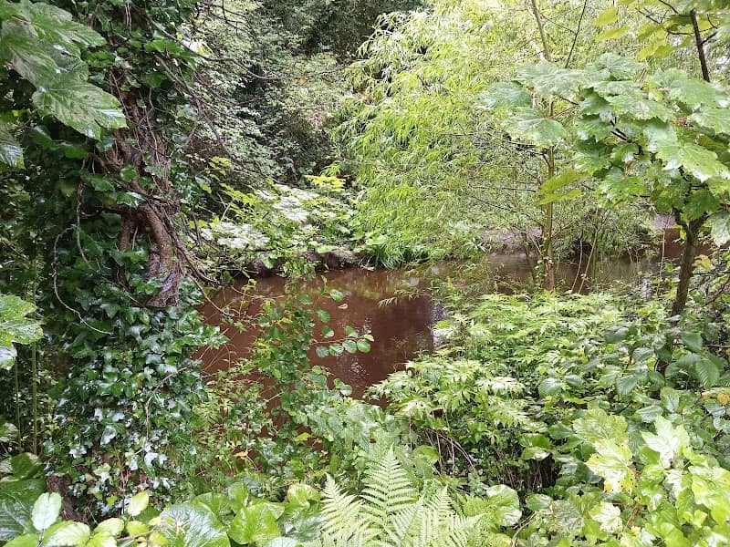 Springvale Mini Waterfall - Image 1