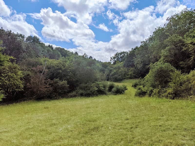 Alpine Meadow, Berkhamsted - Image 1