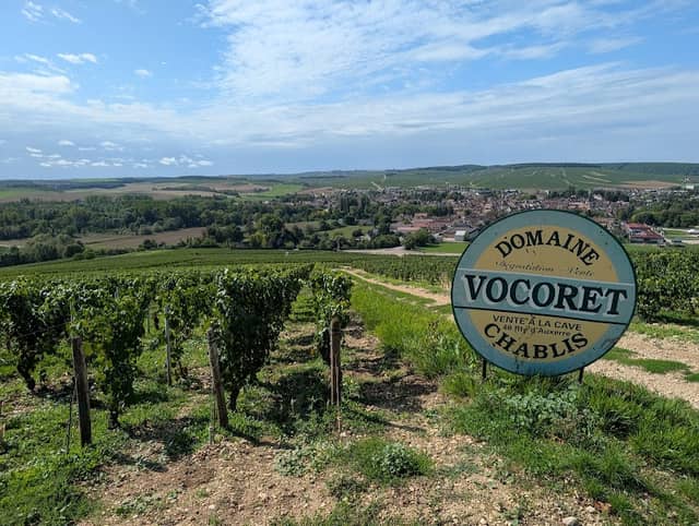 Table d'orientation Chablis les clos - Image 1