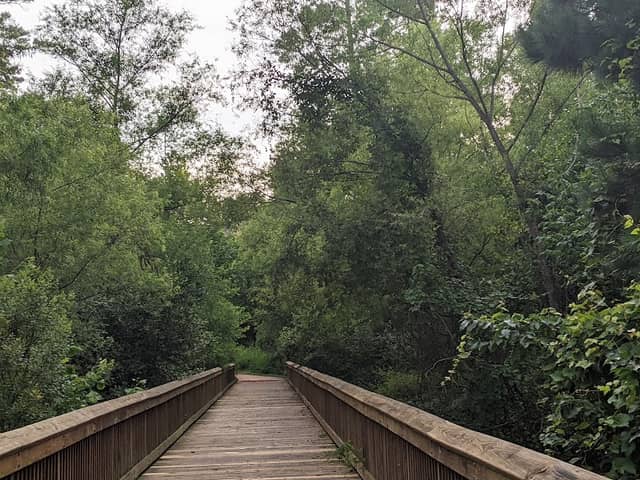 Tryon Road Greenway - Image 2