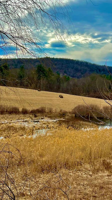 Lanford Wood Community Forest - Image 1