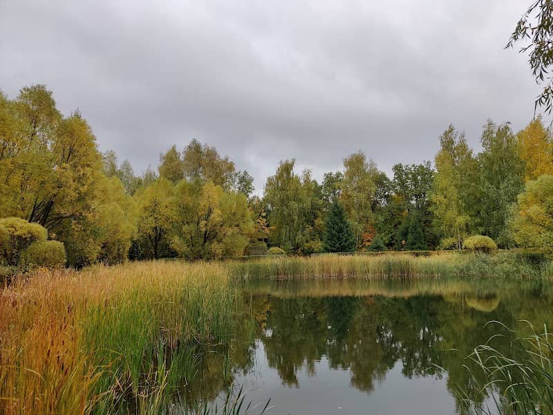 Pamyatnik Prirody "Ul'yanovskiy Dendropark" - Image 1