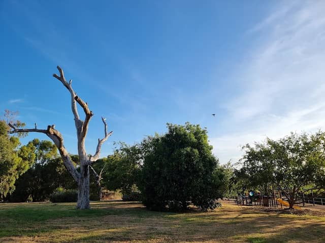 Bellbird Park - Image 1