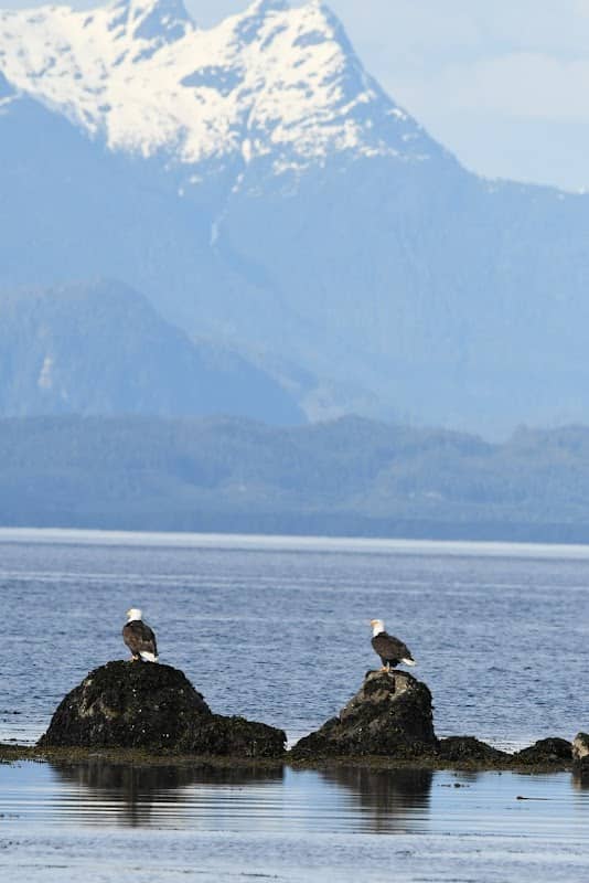 Cluxewe Beach Trail/Suquash Trail Loop - Image 3