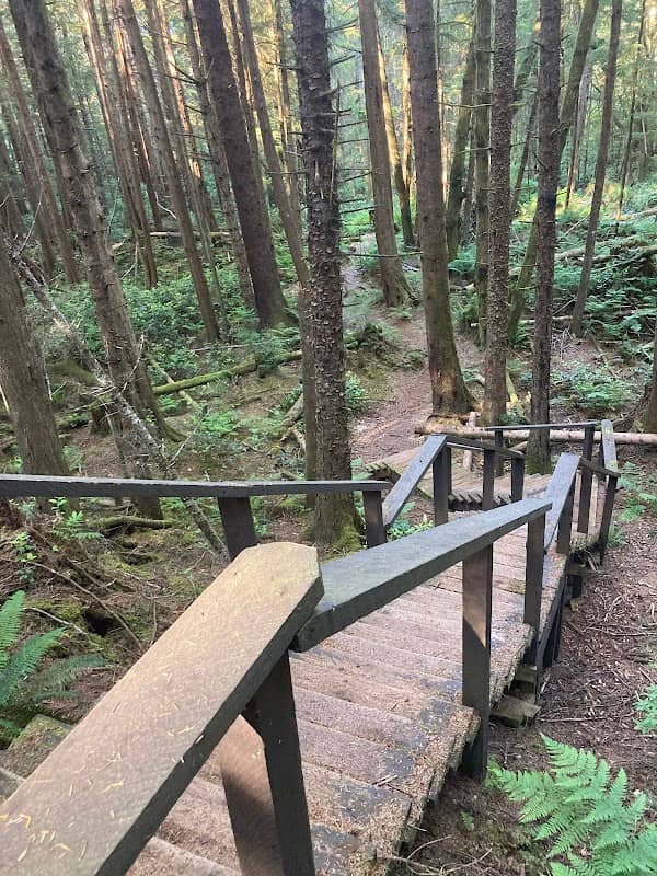 Cluxewe Beach Trail/Suquash Trail Loop - Image 1