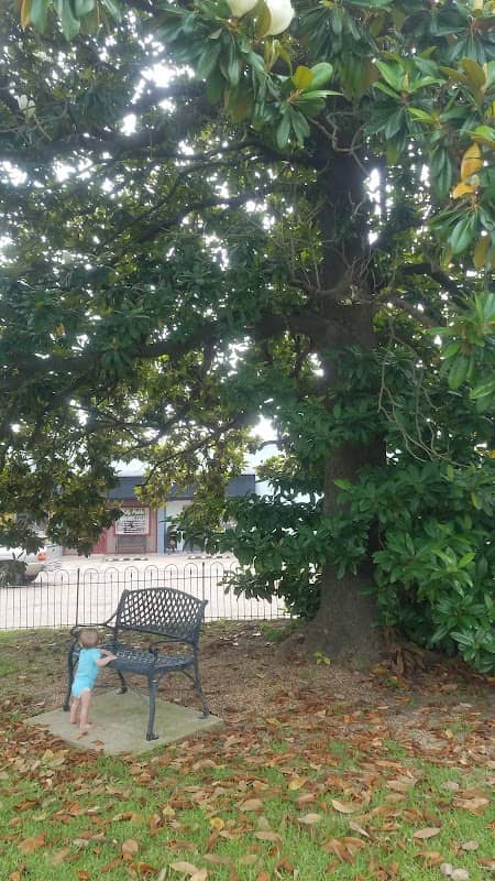 Peterson Park - Image 1