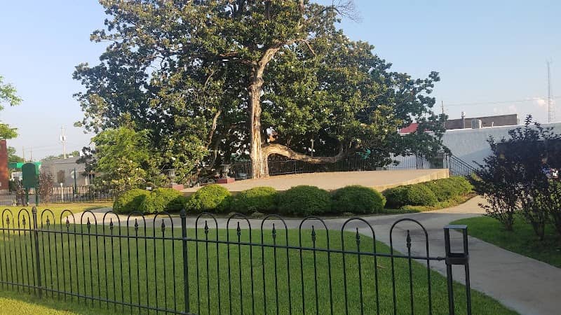 Peterson Park - Image 2
