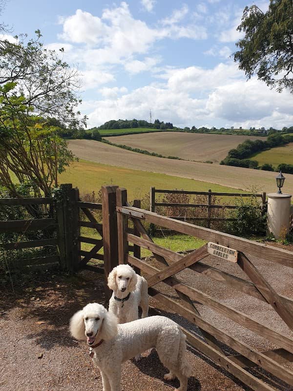 Sladnor Park - Image 1