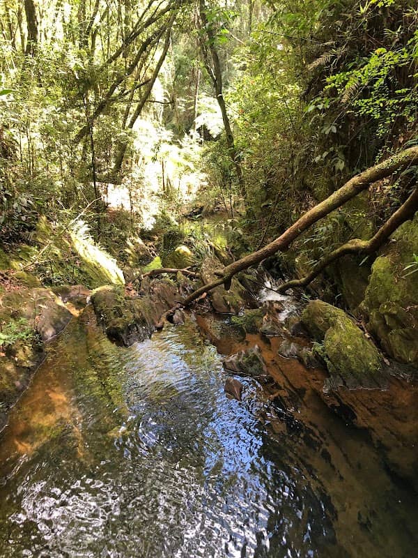 Trilha da Matinha - Image 1