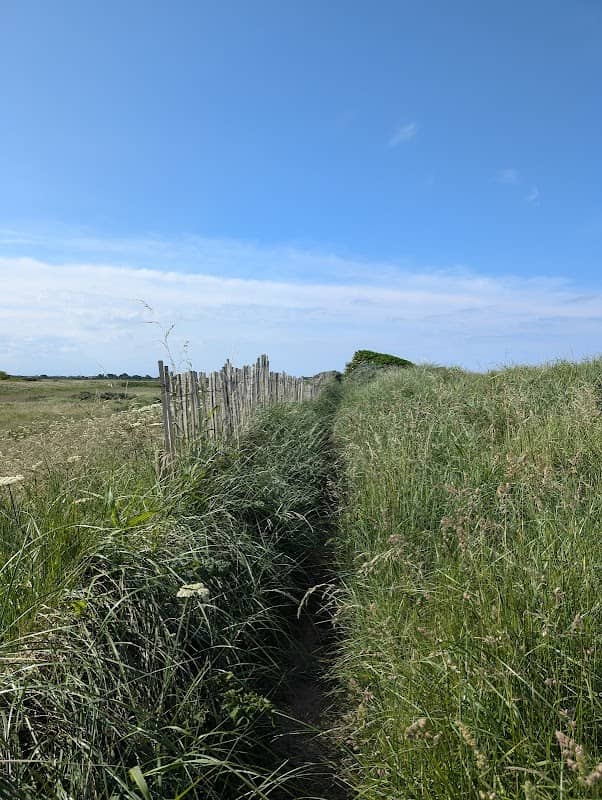 East Lindsey AONB - Image 2
